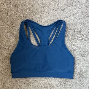 Fabletics Blue Mesh Jog Bra